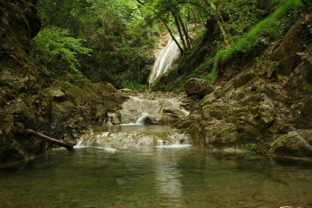 La Casa Di Chianni La Pieve Διαμέρισμα Εξωτερικό φωτογραφία